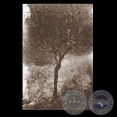 PAISAJE - Fotograf�a de PEDRO CABALLERO